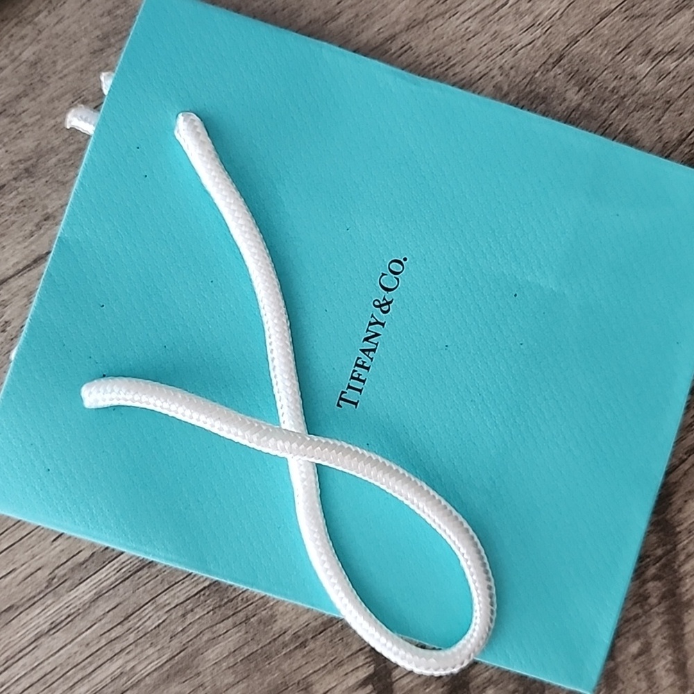 Tiffany Bag